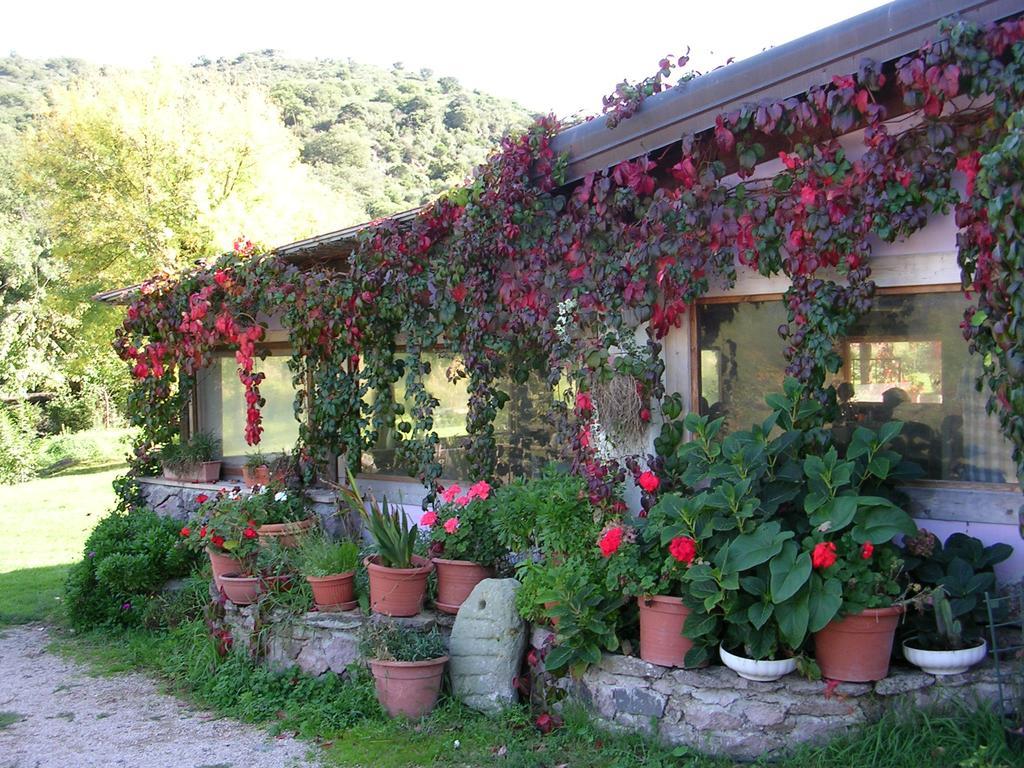 Sas Abbilas Bonorva Exterior foto